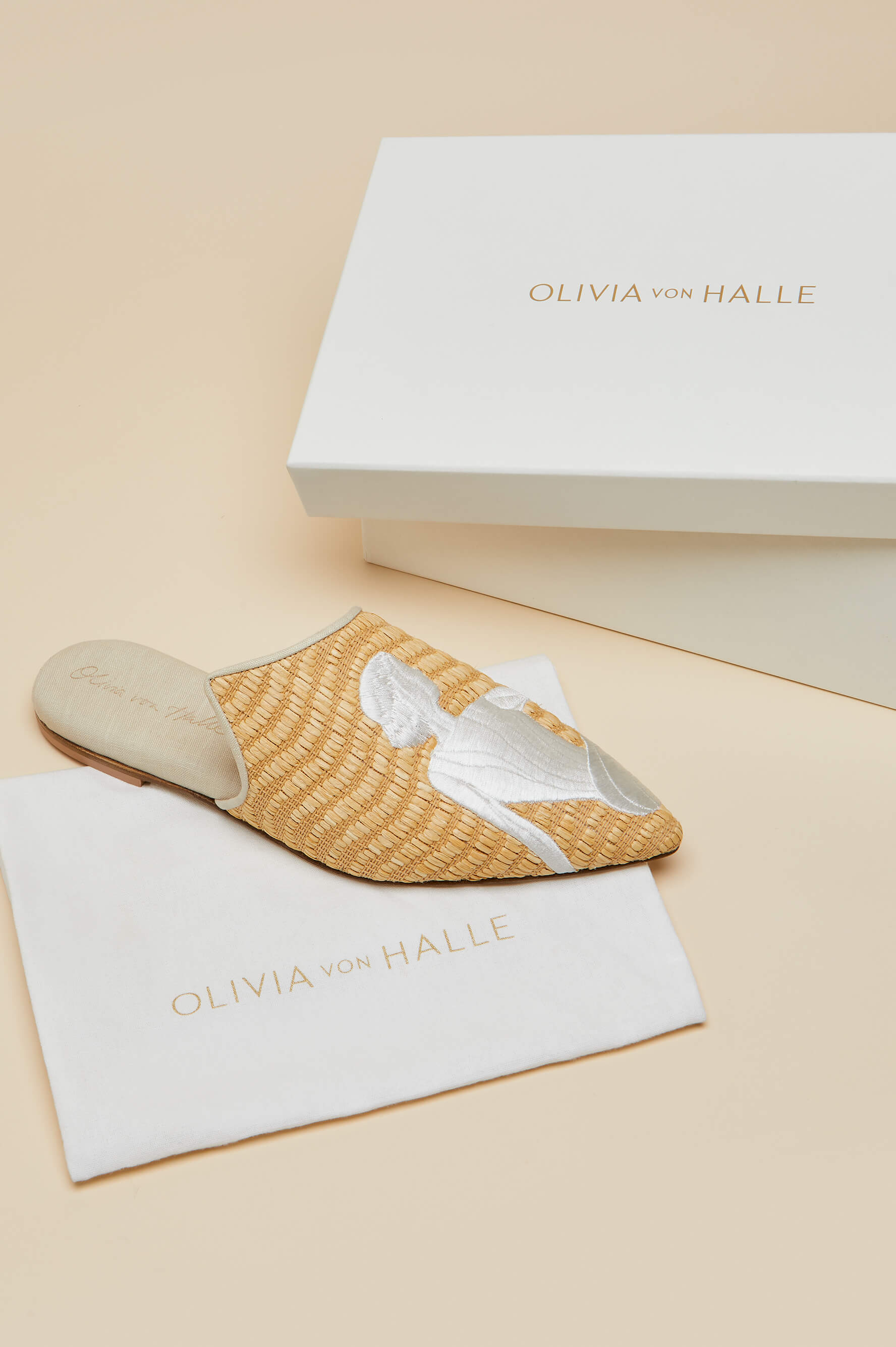 Contessa Viola Beige Embroidered Slippers in Raffia - Image 7
